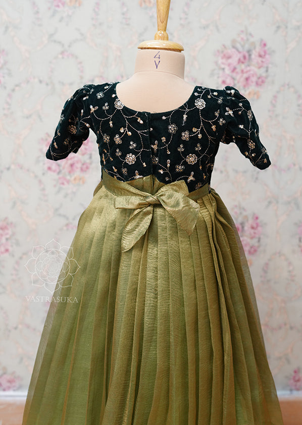 Embroidered Organza Children's Dress