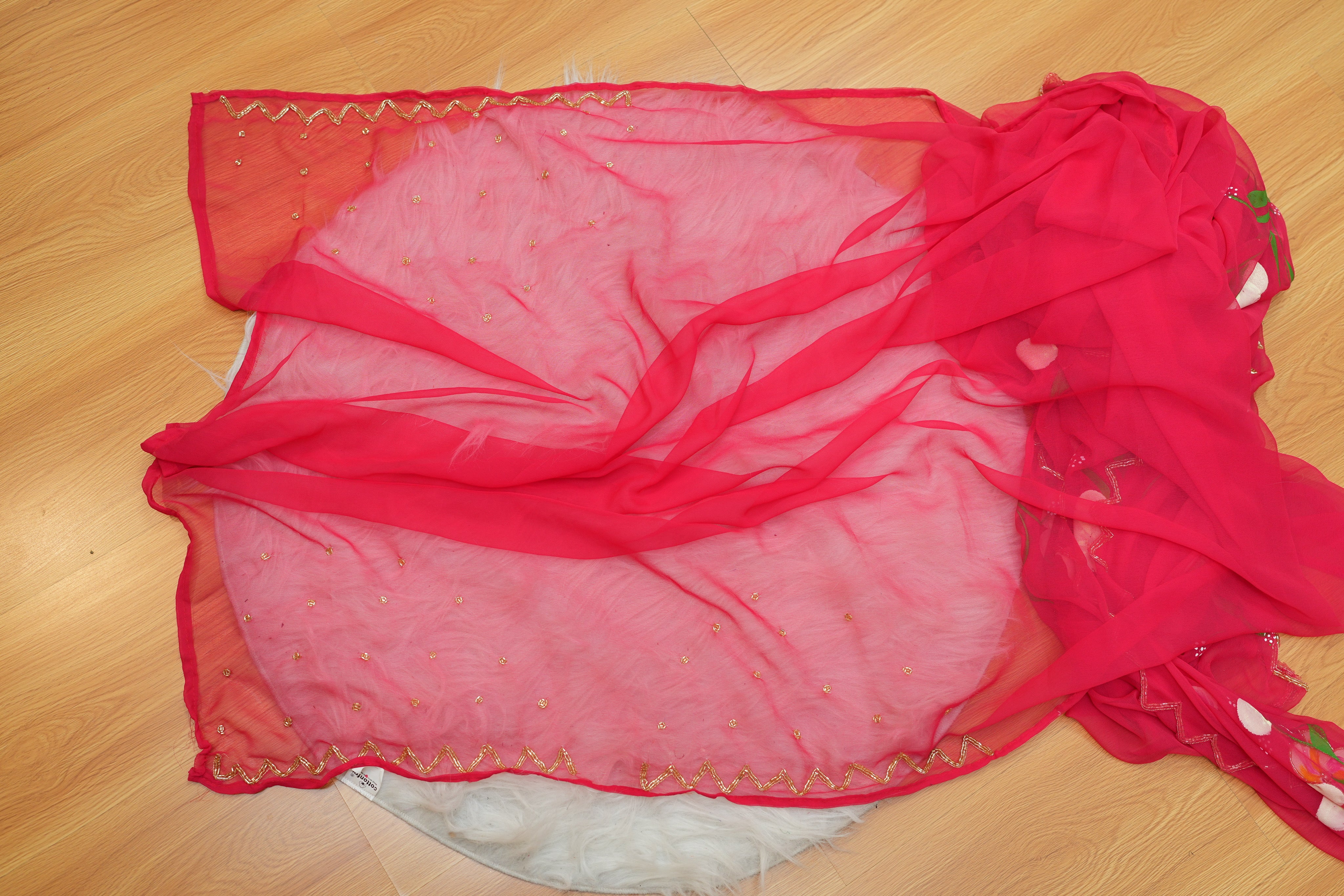 Red Hand-Painted Georgette Saree with Exquisite Handwork Detailing